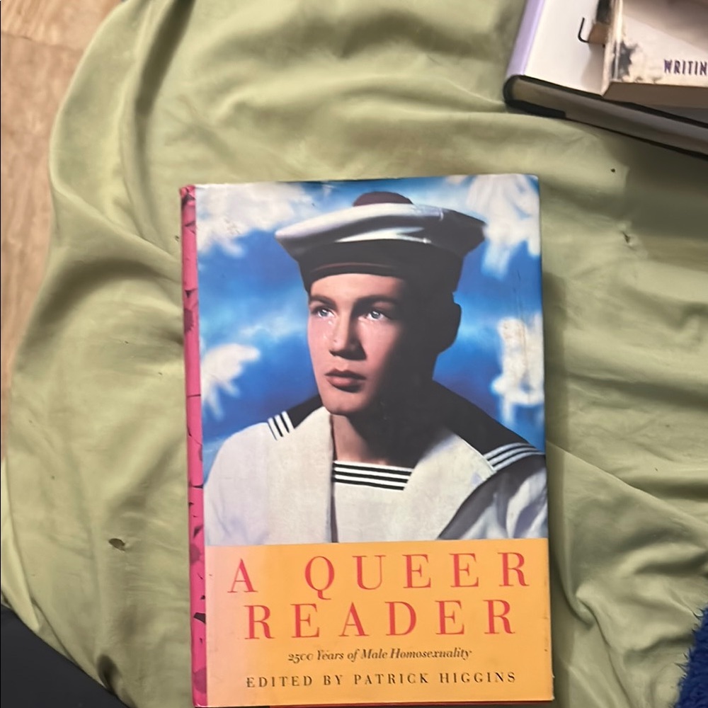 Gay interest book